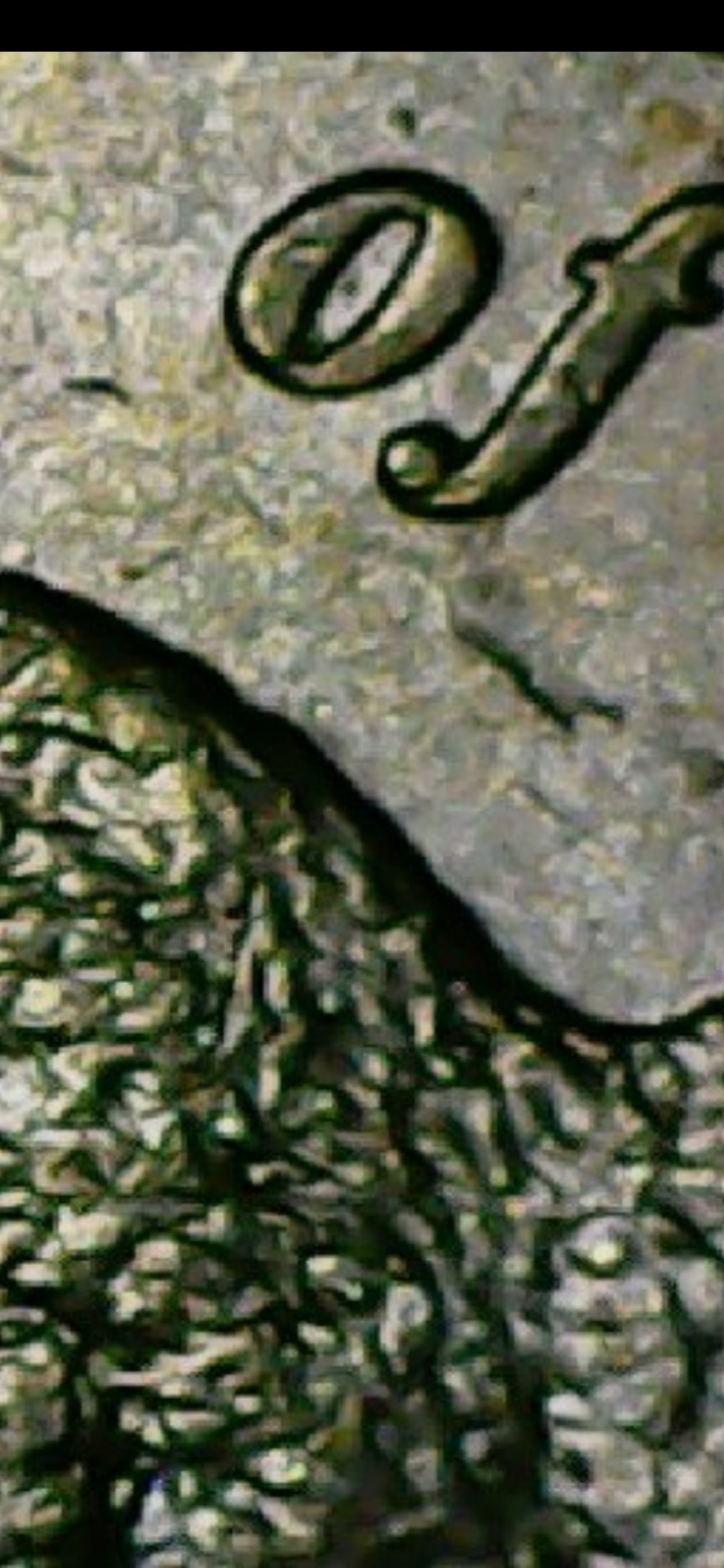 New-DDR-2005-Bison-Double-Back-Mid-Way-Up-Coin